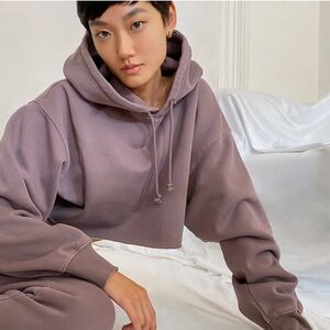 Aritiza Tna Cozy Fleece Cropped Hoodie